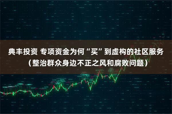 典丰投资 专项资金为何“买”到虚构的社区服务（整治群众身边不正之风和腐败问题）