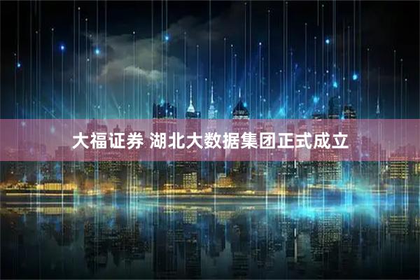 大福证券 湖北大数据集团正式成立