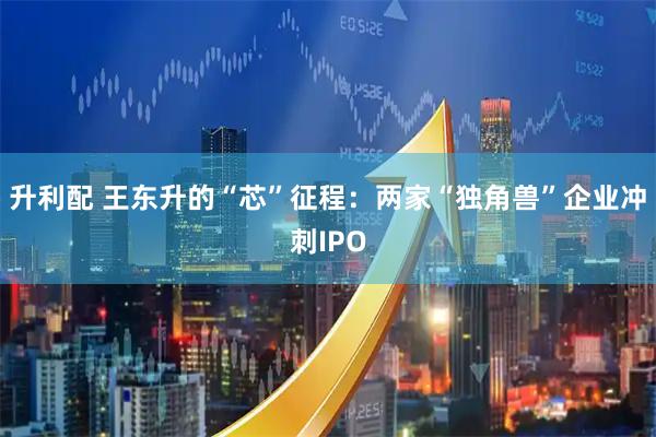 升利配 王东升的“芯”征程：两家“独角兽”企业冲刺IPO
