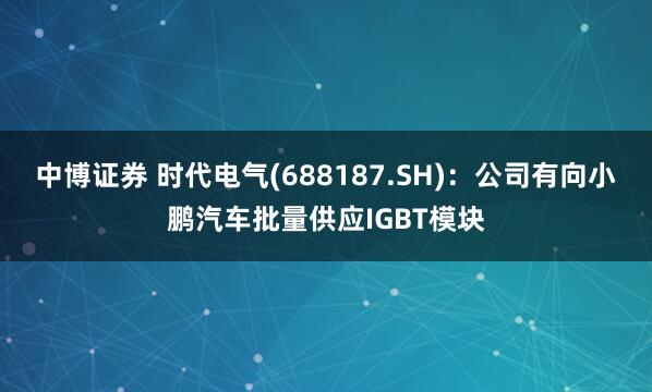 中博证券 时代电气(688187.SH)：公司有向小鹏汽车批量供应IGBT模块