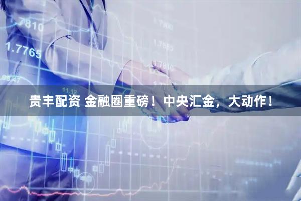 贵丰配资 金融圈重磅！中央汇金，大动作！
