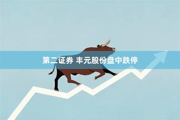 第二证券 丰元股份盘中跌停