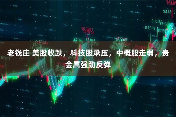 老钱庄 美股收跌，科技股承压，中概股走弱，贵金属强劲反弹