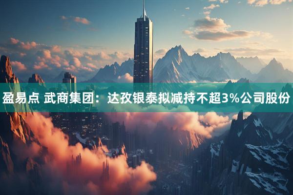 盈易点 武商集团：达孜银泰拟减持不超3%公司股份