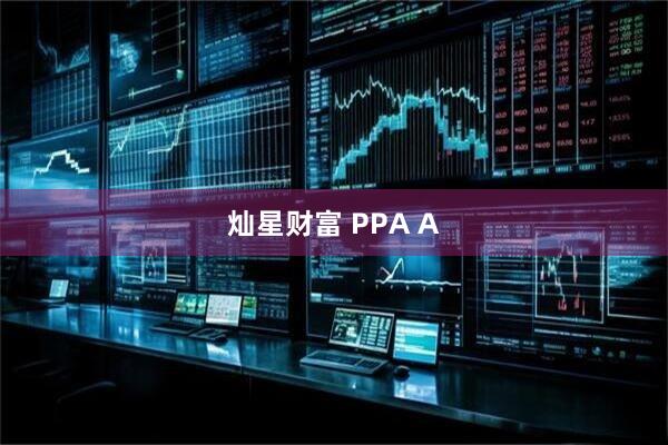 灿星财富 PPA A