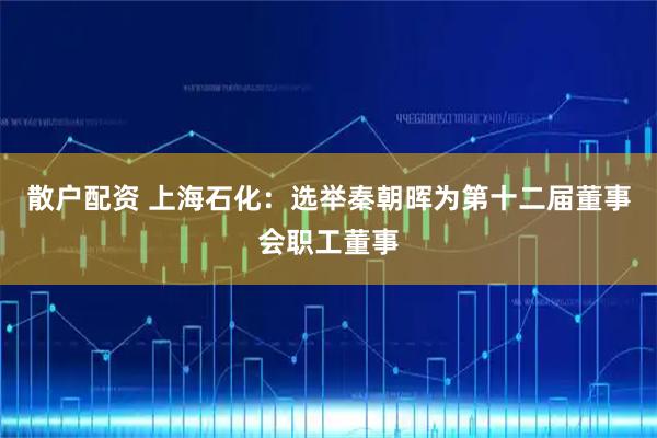 散户配资 上海石化：选举秦朝晖为第十二届董事会职工董事