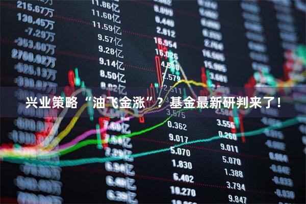 兴业策略 “油飞金涨”？基金最新研判来了！